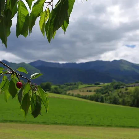 Asson, 7 Pieces, 12 Personnes - Fr-1-384-739 Сasa de vacaciones
